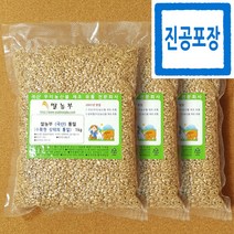 통밀 쌀농부 (국산) 통밀 (수확한 상태의 통밀) 1kg x 3개 (진공포장+훈증처리NO)