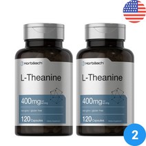 엘 테아닌 긴장 수면 양질 스트레스 집중력 뇌 효능 400 mg 120 캡슐 2병, 120캡슐