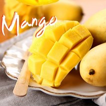 [바른팜] 항공직송 고당도 필리핀 망고 M 6개 1.5kg, 없음