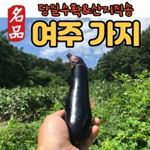 최상품 국내산 여주가지 금보라 못난이 싱싱한 생가지 햇가지 가지 특품 한박스 산지직송 400g 3kg 8kg, (2) 여주 가지(3kg 18~21개/박스)