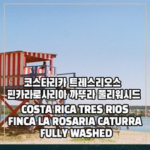 (커피생두) 68 코스타리카 트레스리오스 핀카라로사리아 까뚜라 풀리워시드 1kg, 1개