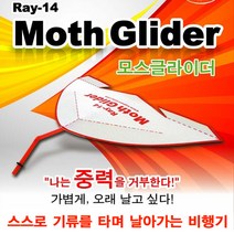 모스글라이더 RAY-14(10인용)