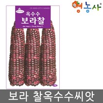 영농사 보라찰옥수수 씨앗 70립 자색 옥수수, 1개
