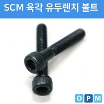 SCM 육각렌치볼트 M10x75 (3개)