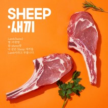 SHEEP새끼 송아지 토마호크