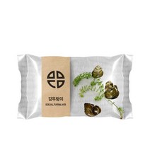 다모아제이 자연학습 강우렁이 관찰 과학탐구, 단품