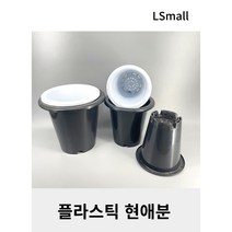 플라스틱 현애분, 6호 화이트