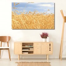 셀러허브 벼이삭 가을 와이드 풍경 사진 그림 액자 50호 117x74cm, 캔버스액자(옆면검정)