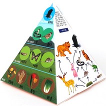 먹이사슬피라미드