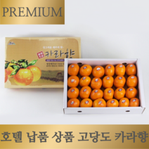 [16brix 이상] 고당도 프리미엄 제주 효돈 카라향, 카라향 3kg, 1개