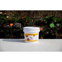 황 1kg(북촌 단청 무기세라믹안료)