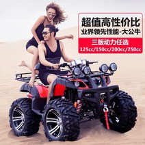 충전식 사륜 바이크 오토바이 산악 ATV 샤프트 전송 크고 작은 황소 전 지형 4 륜 오프로드 자전거 대형 륜구동 가솔린 전기, [21] 작은 황소