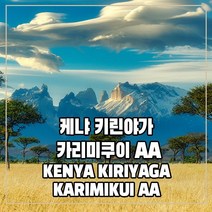 (커피생두) 33 케냐 키린야가 카리미쿠이 AA 1kg, 1