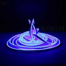 네온플랙스 5M 패킹 네온조명 줄네온 11가지 컬러 DC12V, 옐로우