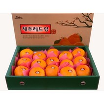 제주도 레드향 한라봉 3 kg 5 키로 10 kg 설 선물세트 가정용, 실속 중과 10 kg (40 과 내외 )