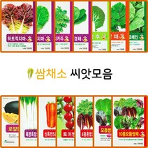쌈 채소 씨앗 모음 상추 쌈추 로얄채 치커리 방울토마토 대파 노란 수박 고기 채소, 14.모듬쌈추 5종 100립