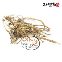 국산 한속단 속단 차 뿌리 150g