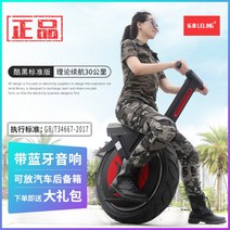 외발전동휠 17인치 자전거 전기 오토바이 1인용, 05. 블랙 스탠다드 [30km], 60V