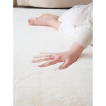 부드러운 거실 러그 카페트 기모