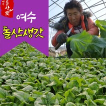 여수 돌산갓 생갓 5kg 10kg 햇갓 돌산생갓 여수갓 김장갓, 1개