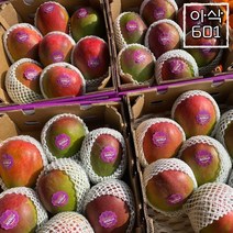 [아삭601] 애플망고 프리미엄 항공 선박 고당도 2kg 4kg 대과, 애플망고 4kg [7~10과]대과