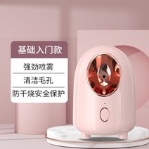 피부스티머 안면 보습기 온열나노스팀기 스티머 냉열 듀얼분사 페이스메이커 나노 수분스프레이 페이스 가정용 스팀기 미용실 전용, 01 【기초 엔트리 모델】클렌징 수분