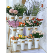 꽃다발 진열대 꽃꽂이 가게 화분 전시대 판매대 꽃집, 1층 3배럴 3층(단일선반) 화이트