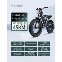 오프로드산악 자전거 가변변속7단 흡수 20인치 패달가능 바퀴4.0 고출력 배터리 전동자전거, 0Ah, F-터입