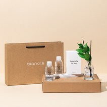 블랑16 이사 집들이 선물 세트 퇴사 승진 기념 선물 세트 쇼핑백 감사카드 포함, 안개꽃_아이보리, 화이트린넨