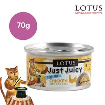 LOTUS 그레인프리 저스트 쥬시 포크 스튜 고양이 주식캔 24p, 돼지, 70g, 24개