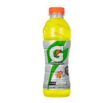 칠성 갈증해소 아미노산 게토레이 레몬 페트 스포츠음료 이온음료 600ML 20개, 30세트