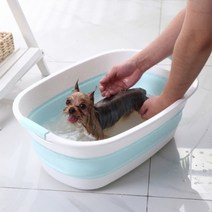 기타 바보사랑[리빙톡톡]DT-910퐁퐁 접이식 강아지 욕조 (블루) 애견 대야