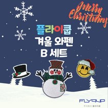 플라이쿱 겨울 와펜 B세트 3종 1세트 봉제식 와펜 패치, 1SET(3종)