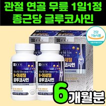 부모님 어르신 종근당 관절 연골 영양제 엔 N 아세틸 글루 코사민 MSN MSN 엠에스엠 허리 무릎 무릅 손목 발목 손가락 뼈 마디 60대 70대 노인 시니어 여성 남성 건강 추천, 2박스(6개월분)