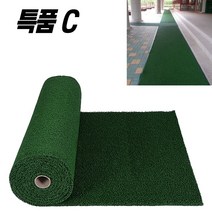 초면애 외부코일매트 코일롤C 120X100 일반형 특품, 특품 코일롤C  녹색, 1개