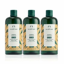 더바디샵 한정 진저 스캘프케어 샴푸 400ML 2+1