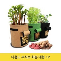오너클랜 다용도 부직포 화분 대형 1P 커버 덮개 받침대_W6F7DDE, 10gallonㅡ그린