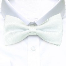 타이타이 BRAND NEW 화이트 페이즐리 럭셔리 클래식 쟈가드 성인용 보타이 CP1466