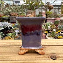 예운분: 목대 정사각분 8가지 색상, 06하늘/보라색