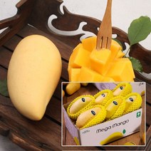 매일 한개씩 필리핀 생 망고 카라바오골드망고 6과 12과 ( 소과 중과 대과 ) 및 선물세트 중, 망고 12과 대과 (개당 225g 내외)