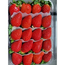죽향딸기 산지직송 프리미엄 명품 논산딸기, 0.8kg, 1개