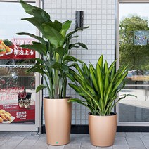 이색포트 초대형화분 플라스틱 가벼운 화분 분갈이 원형 홈가드닝 큰나무 도로용, 로즈 골드, 하이 엑스트라(직경40cm 높이60cm)