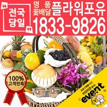 과일바구니 출산 병문안 문병 집들이 선물 예단 이바지 당일배송, (선택06)과일바구니⑥