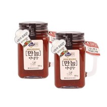 영월농협 만능 양념장500g(1+1)총2병