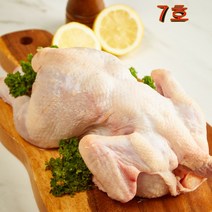 염지 삼계 닭 도매 유통 영계 생닭-07호 (650g-750g), 17각_무염지 | 1진공..