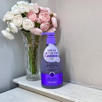 바디워시 바디샴푸 바디클렌져 워시 핸드워시, 본품