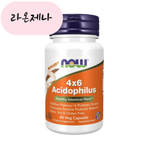 홈쇼핑 나우푸드 4x6 아시도필러스 유산균 60캡슐, 6개, 60개