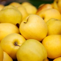 딜리버리맛트 [딜맛] 시나노골드 황금사과 정품(망포장) 중과 4.5kg(15~18과), 1