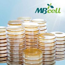 LB Agar High Salt Plate/ MBcell 미생물 배지/ 생배지-제조된 배지/ 대장균 배양배지, 50Ea