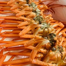산지직송 못난이 홍게 10-12미 수율보장 제철식품, 단품